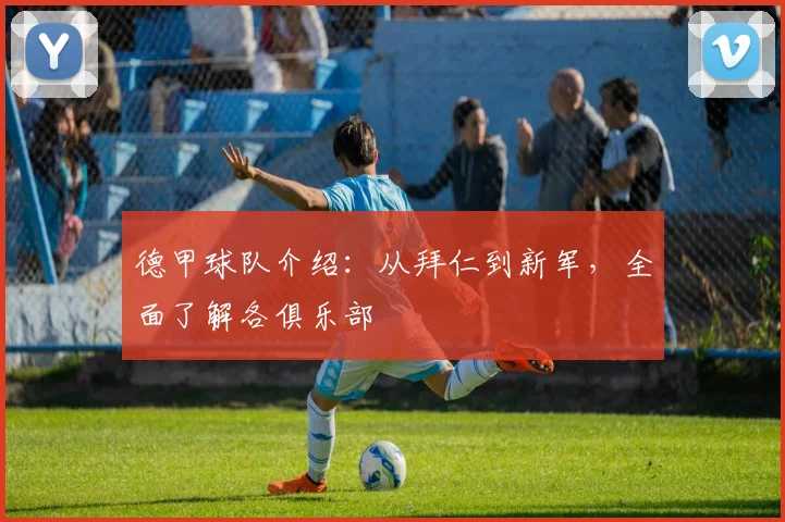 德甲球队介绍：从拜仁到新军，全面了解各俱乐部