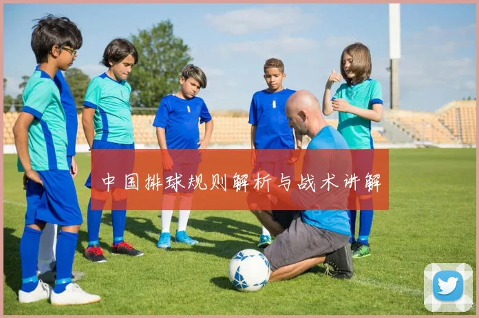中国排球规则解析与战术讲解