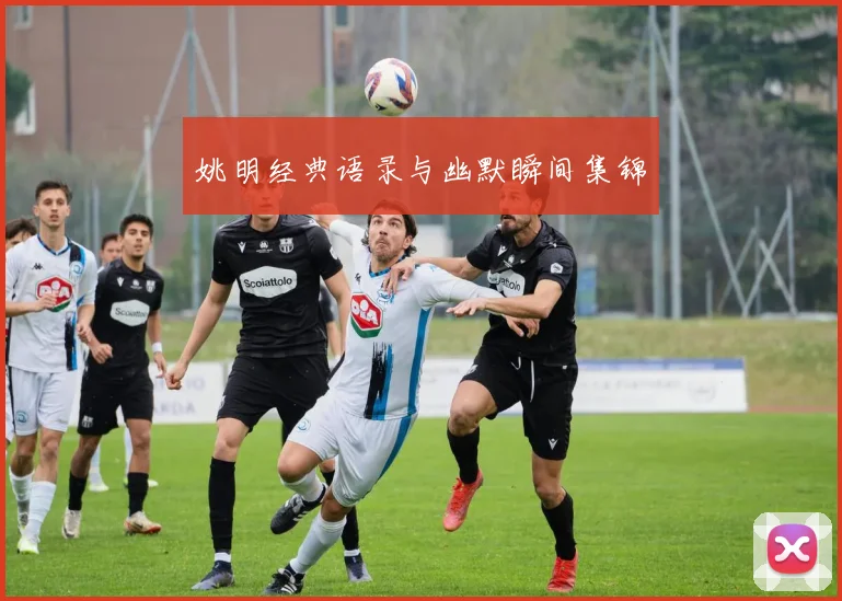 姚明经典语录与幽默瞬间集锦