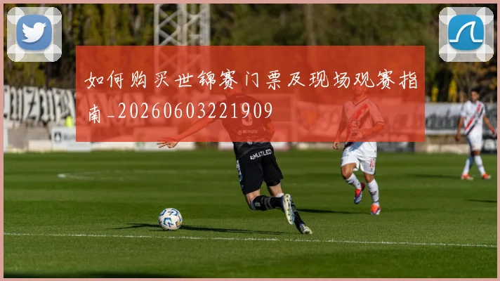 如何购买世锦赛门票及现场观赛指南_20260603221909