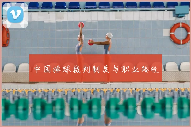 中国排球裁判制度与职业路径