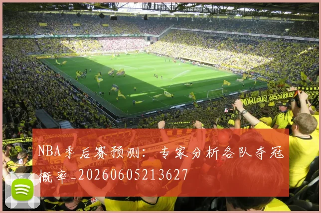 NBA季后赛预测:专家分析各队夺冠概率_20260605213627