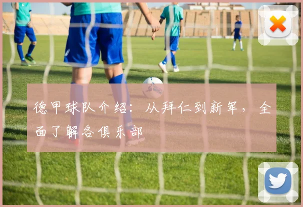德甲球队介绍：从拜仁到新军，全面了解各俱乐部