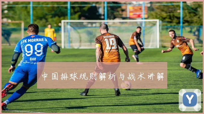 中国排球规则解析与战术讲解