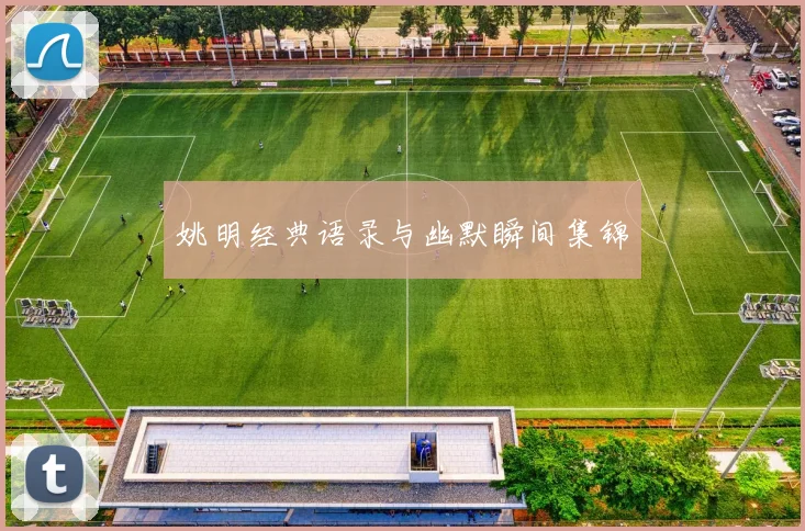 姚明经典语录与幽默瞬间集锦