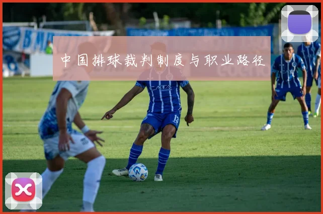 中国排球裁判制度与职业路径