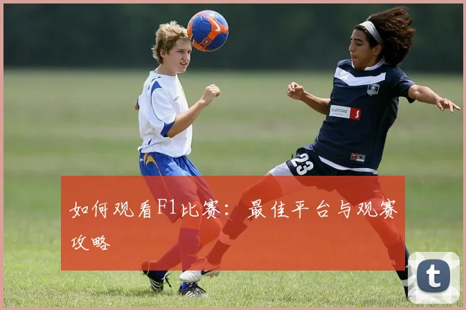 如何观看F1比赛：最佳平台与观赛攻略