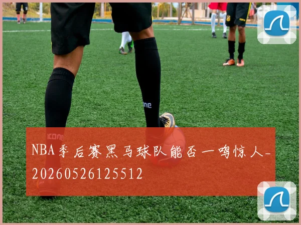 NBA季后赛黑马球队能否一鸣惊人_20260526125512